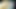 test swift tribute