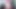 Please Mr Principal Dahlia 8K 3D 180 Lr