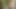 Göt tıkacı