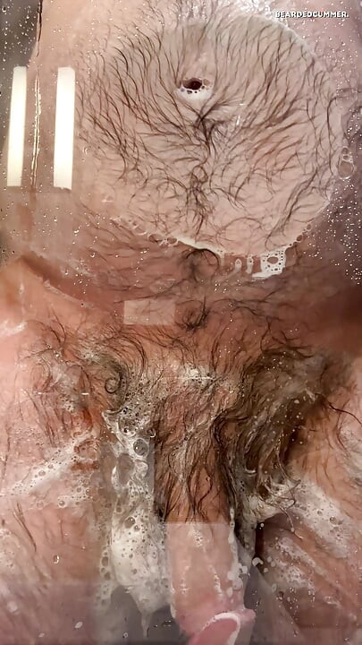 Hairy Bear Taking a Shower and Shows off Big Belly