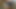 Web-Freundin - schneller Orgasmus