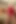 Shemale Carla Büyük Bir Dildo Ile Poposunu Seviyor