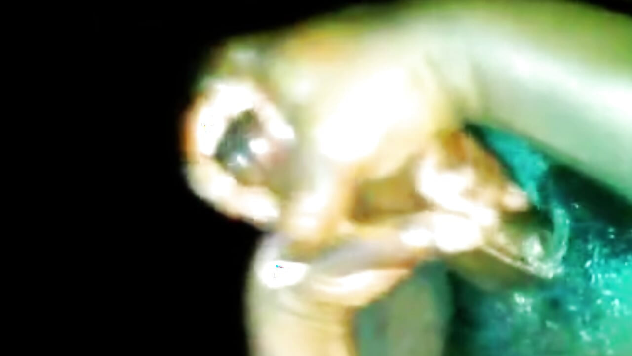 Young Boy Big Black Dick HARD JERK COMPILATION