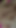 Thrilling moment from "MY DAD'S WIFE WENT TO THE NEIGHBOR'S HOUSE AND I RECORDED HOW THE NEIGHBOR FUCKS MY STEPMOM -"