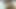 BJP MP MUMBAI INTERNATIONAL SEX VIDEO