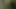 my daily cumshot