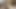 Precum dripping down my rock hard veiny dick