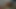 少し温めてあげる