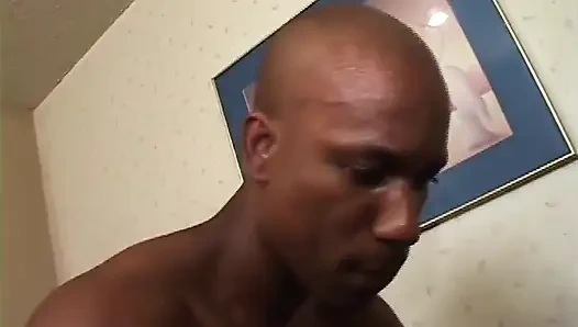 Hoshalie zen, teil 1