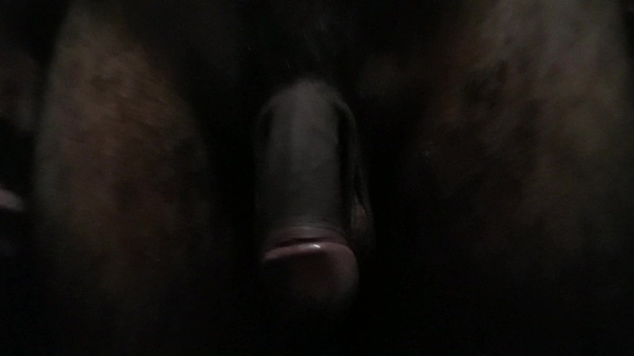 instragem: wellingtonpsi17