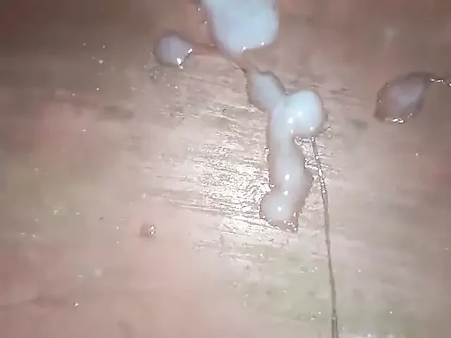 New Xvideo