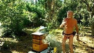 Tantangan peternak lebah telanjang
