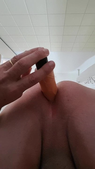 Anal with a dildo 2