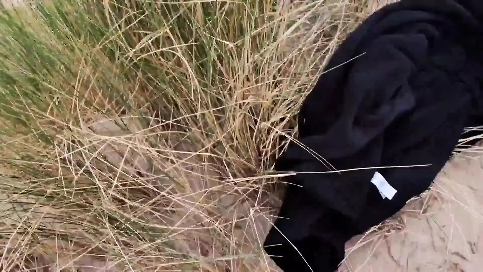 Sex på nudiststranden