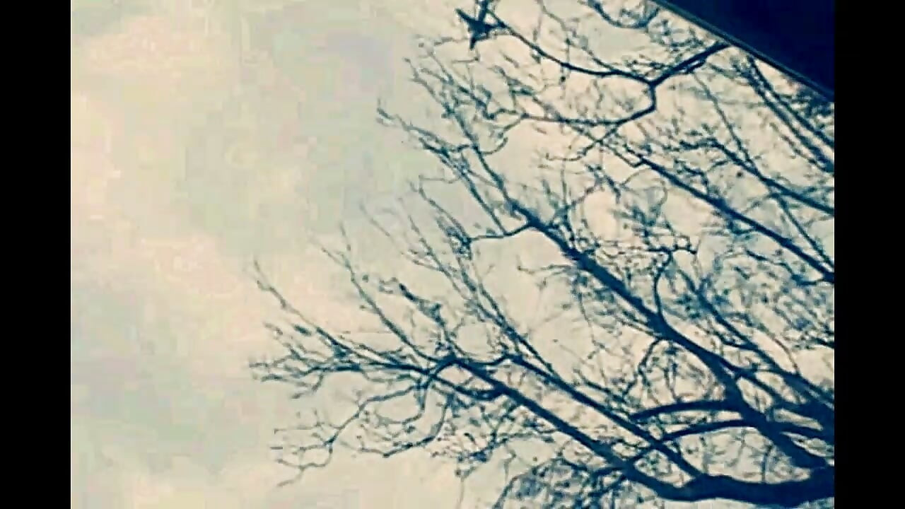 Vintage Porn of a Fat Housewife with Hairy Pussy Fucked by a Big Cock in the Pool