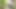 Beating off and cumming in the woods, jerking off in my wifebeater and boxers in the summer time during a hike.