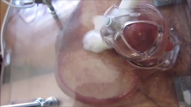 Melting cock in chastity with e-stim and bull crusher
