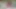 POV Roadside Debauchery  Wet Pleasure by the River