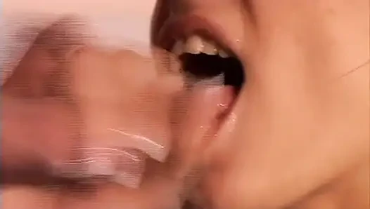 Analgeschichten von Sofia Cucci - DVD