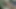 Ben oral seks yaparken sürtük ağzıma güzel geliyor ve heyecanlanıp çok iyi titriyor.