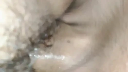 the bull fucking my wife's pussy.
