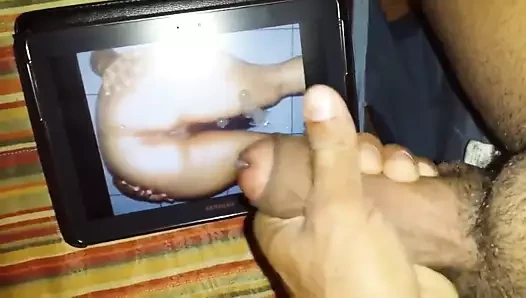 Tributo para cako e samira