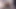 Genç femboy azdırıyor, götünü açıyor