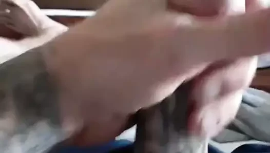 güzel beyaz horoz