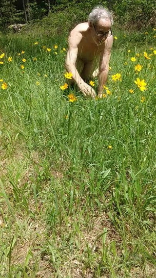 Rolling into the Flowers