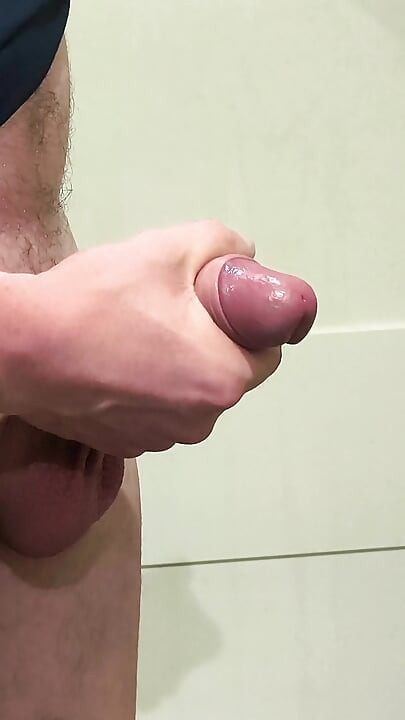 I Wanted to Jerk off in the Toilet