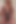 White Man's BBC Obsession- Ebony Femdom Goddess Rosie Reed Racial Humiliation Big Black Cock Obsession for White Boys