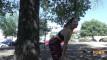 Pregled videozapisa