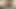 Cum for you