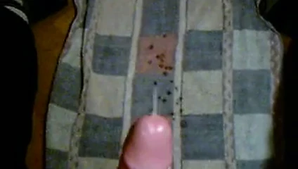 sağım zamanı