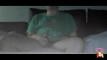 Pratinjau video
