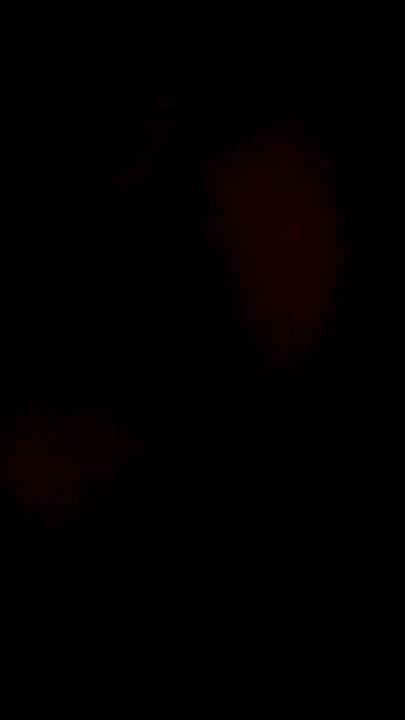 Докосни ме или ме гледай