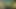 Thick Female Orc Worships HUGE Orc Cock - Hardcore Anal Pound PMV (4K AI Animated)