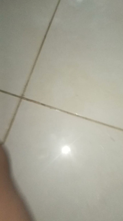 Long penis expels sperm