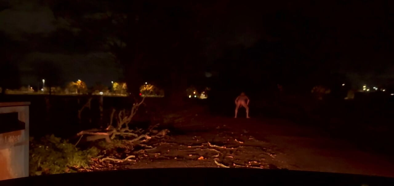 Seksi odijelo na cesti, twerkanje i drkanje