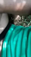 Jangal me mangal ho raha hai.,...