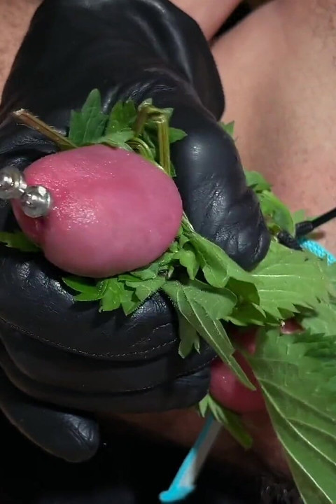 Cum with Nettles Inside Dick