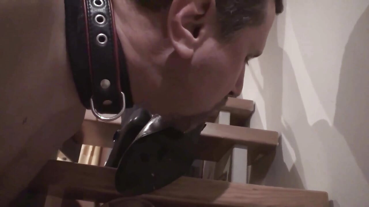 Pet played slave worships femdoms shoes