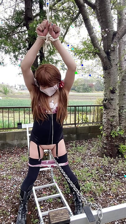 No178 Cherry Blossoms and Chain Crossing Part 2