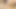 BDSM 스팽킹 벤치에 채찍과 벨트로 묶인 소녀를 채찍질하고 따먹는 남자