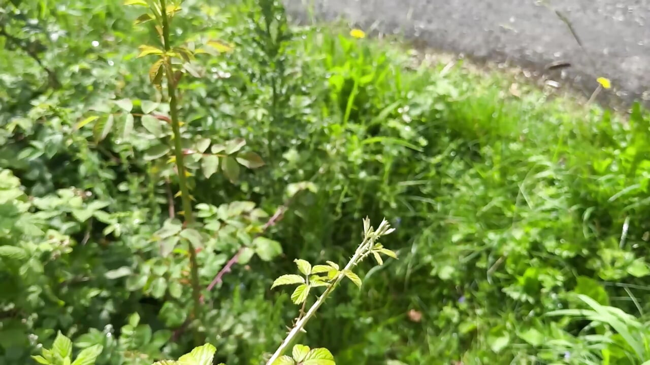 Chica desvergonzada ayuda al chico a orinar al aire libre - compilación