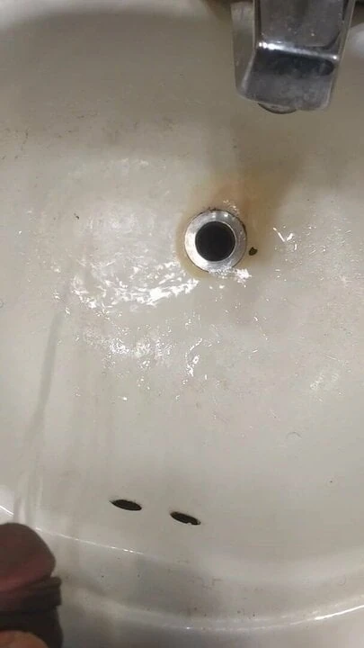 apple cider beer piss release before edging