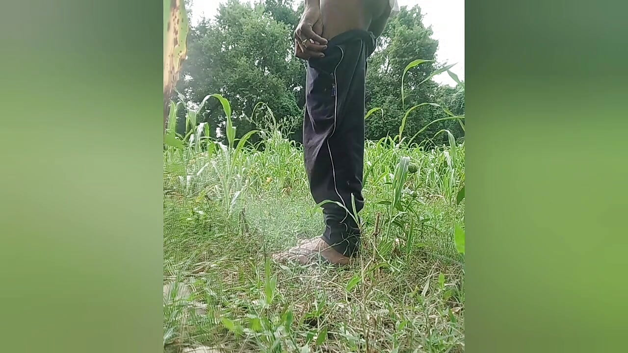 Desi gay tashjendar shemele floresta punheta