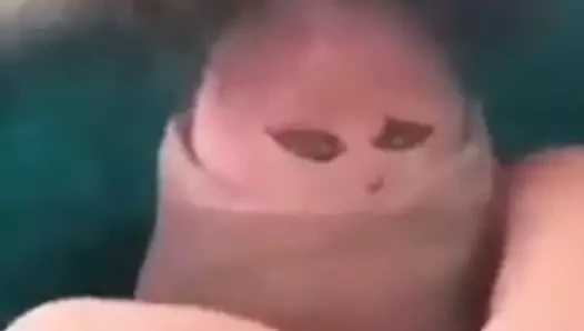 Korona
