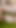 Captivating moment from "She Suck My Cock Dry! ThroatPie while Squirting + Creampie while Squirting"