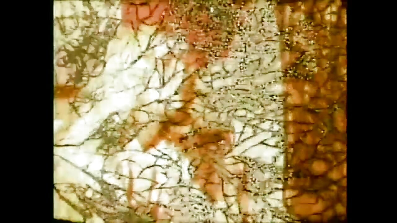 “我們的起源 xxx... - 第14卷